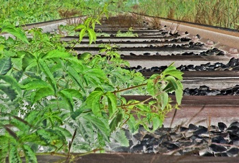 I 011A